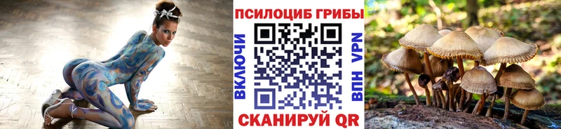Псилоцибиновые грибы Magic Shrooms  где найти наркотики  Полысаево 