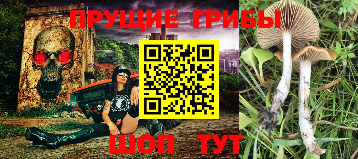 Псилоцибиновые грибы Magic Shrooms Полысаево