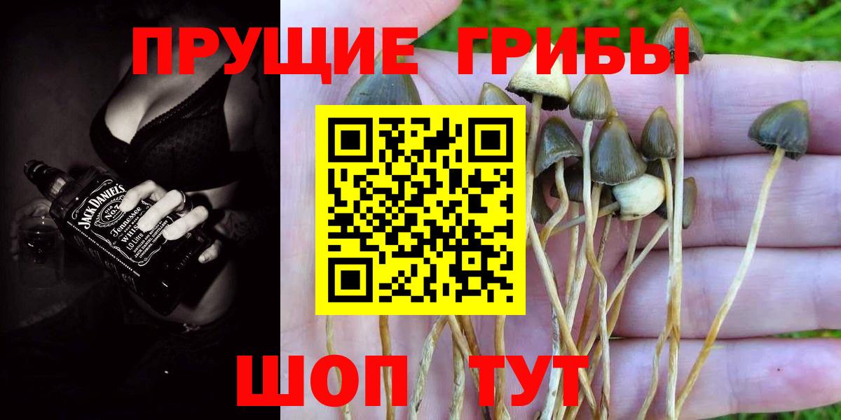 Галлюциногенные грибы мицелий  Галлюциногенные грибы ЛСД  Вход с VPN  наркотики  Полысаево 