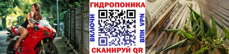 купить сайты Полысаево Бошки Шишки планчик