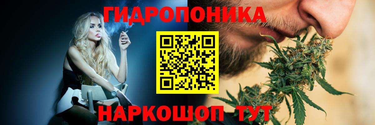 Шишки марихуана планчик  Шишки марихуана семена  Полысаево  Конопля марихуана  Вход с VPN 